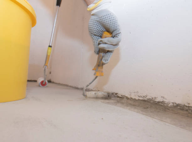 Best Pest Prevention Services  in Fortuna, CA